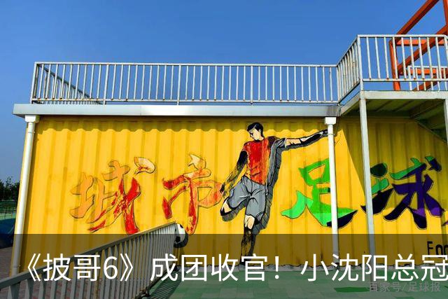 《披哥6》成团收官！小沈阳总冠军，孙楠X-Leader，满江卡位，4人没成团